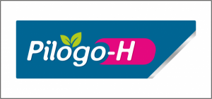 PILOGO-H