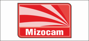 MIZOCAM INJECTION