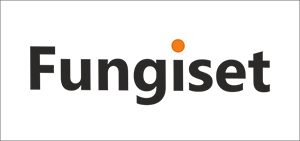 FUNGISET POWDER
